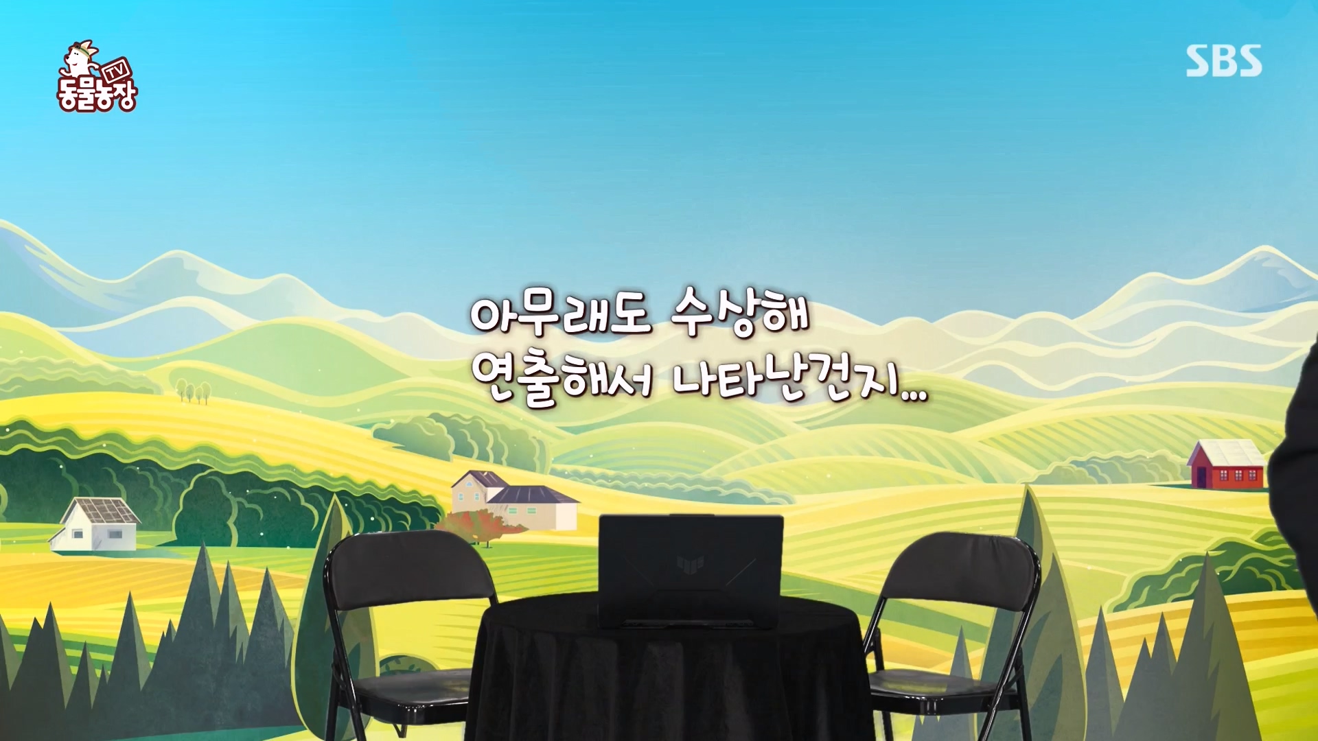TV 동물농장.E1164.240324p-NEXT.mp4_20240324_172341.606.jpg