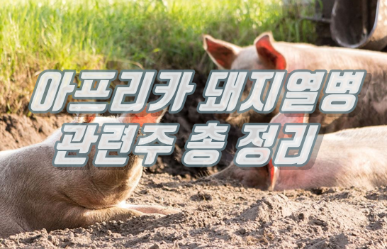  돼지열병 관련주 총정리 - 돼지열병 대장주와 수혜주 분석