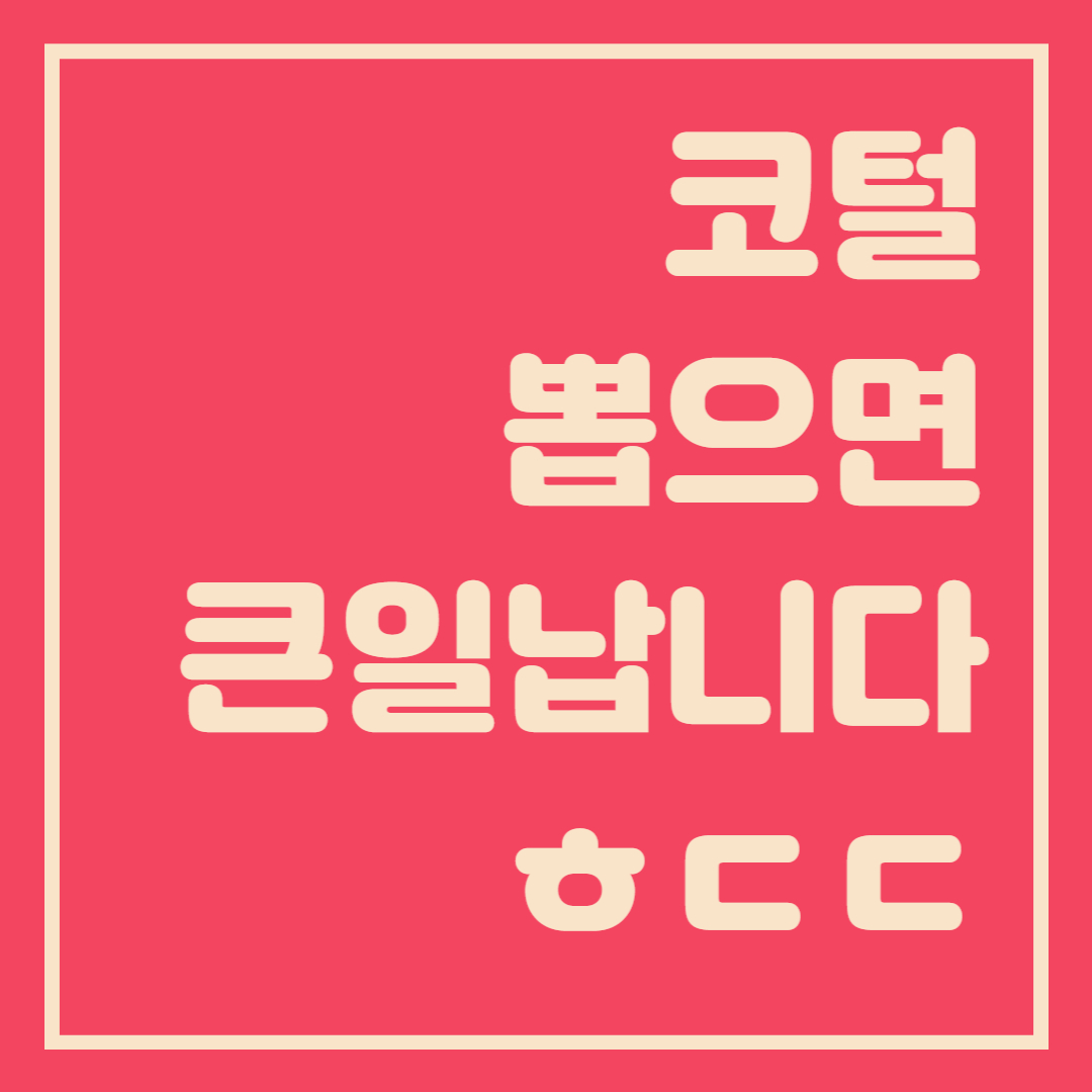  코털 뽑으면 위험해요 좋은 제품 추천