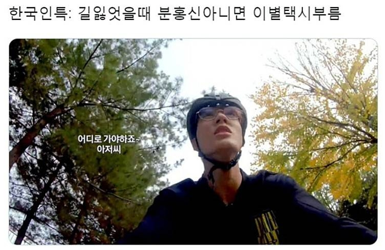  길을 잃은 한국인들 특징
