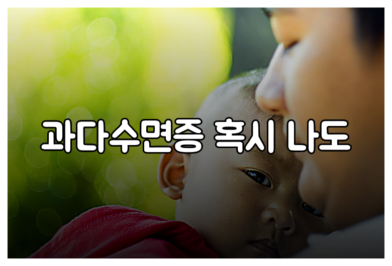 과다수면증 혹시 나도