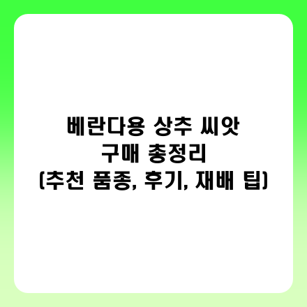 글 썸네일 인포그래픽