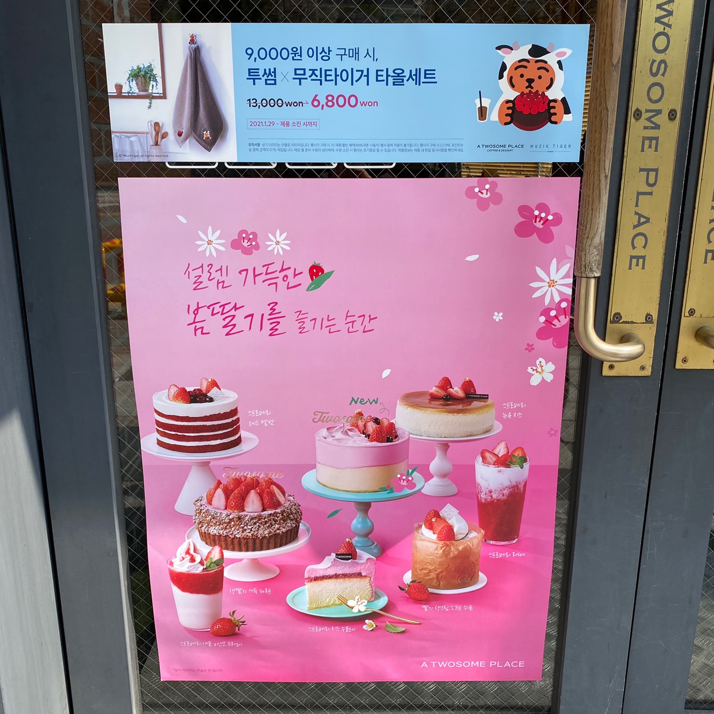  투썸플레이스 음료추천 자몽시트러스 그리고 스페니쉬 연유라떼