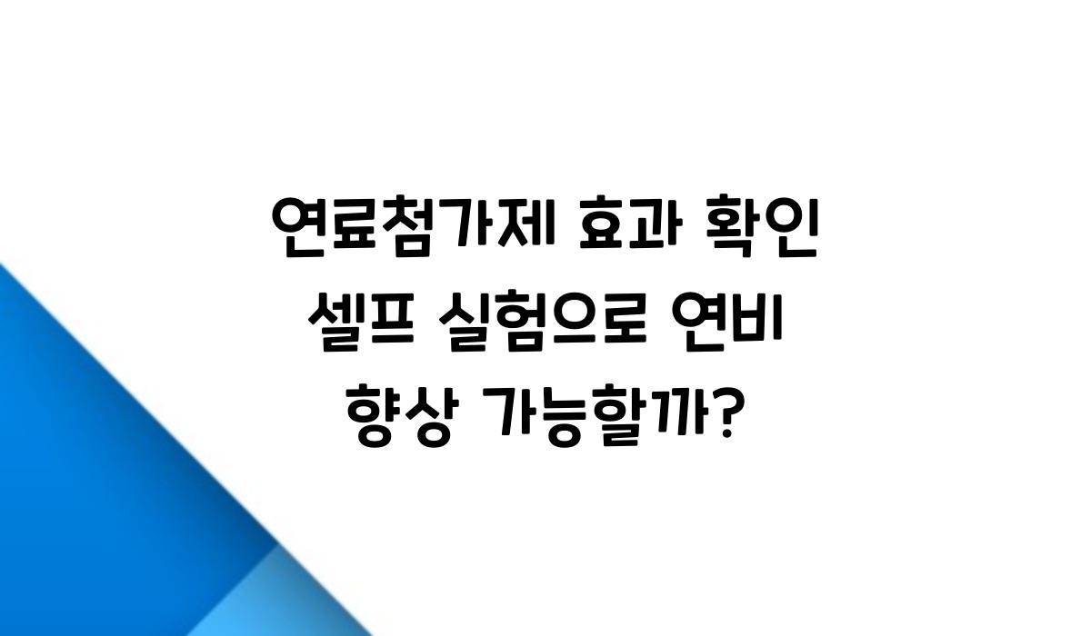 연료첨가제 효과