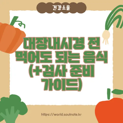 대장내시경 전 먹어도 되는 음식 (+검사 준비 가이드)