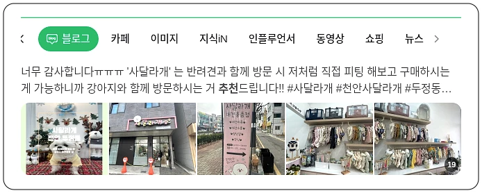 개옷추천_1_subsection