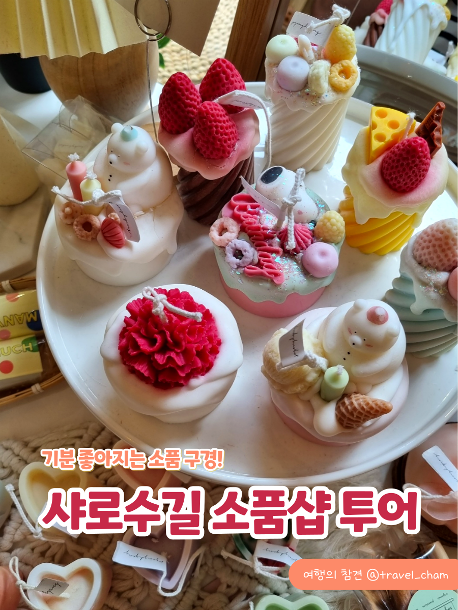 다올투어 이미지