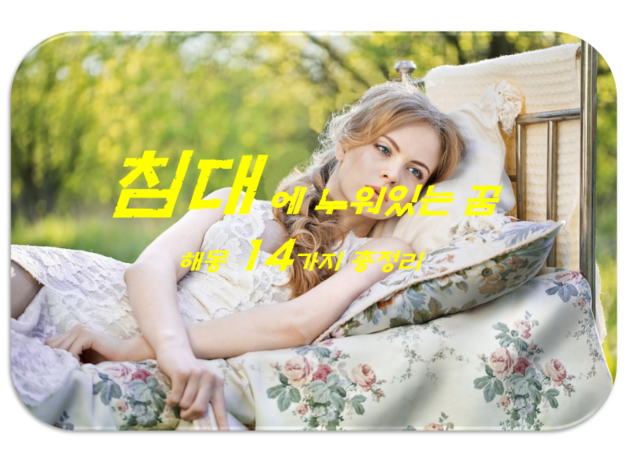  침대꿈 해몽 14가지 총정리