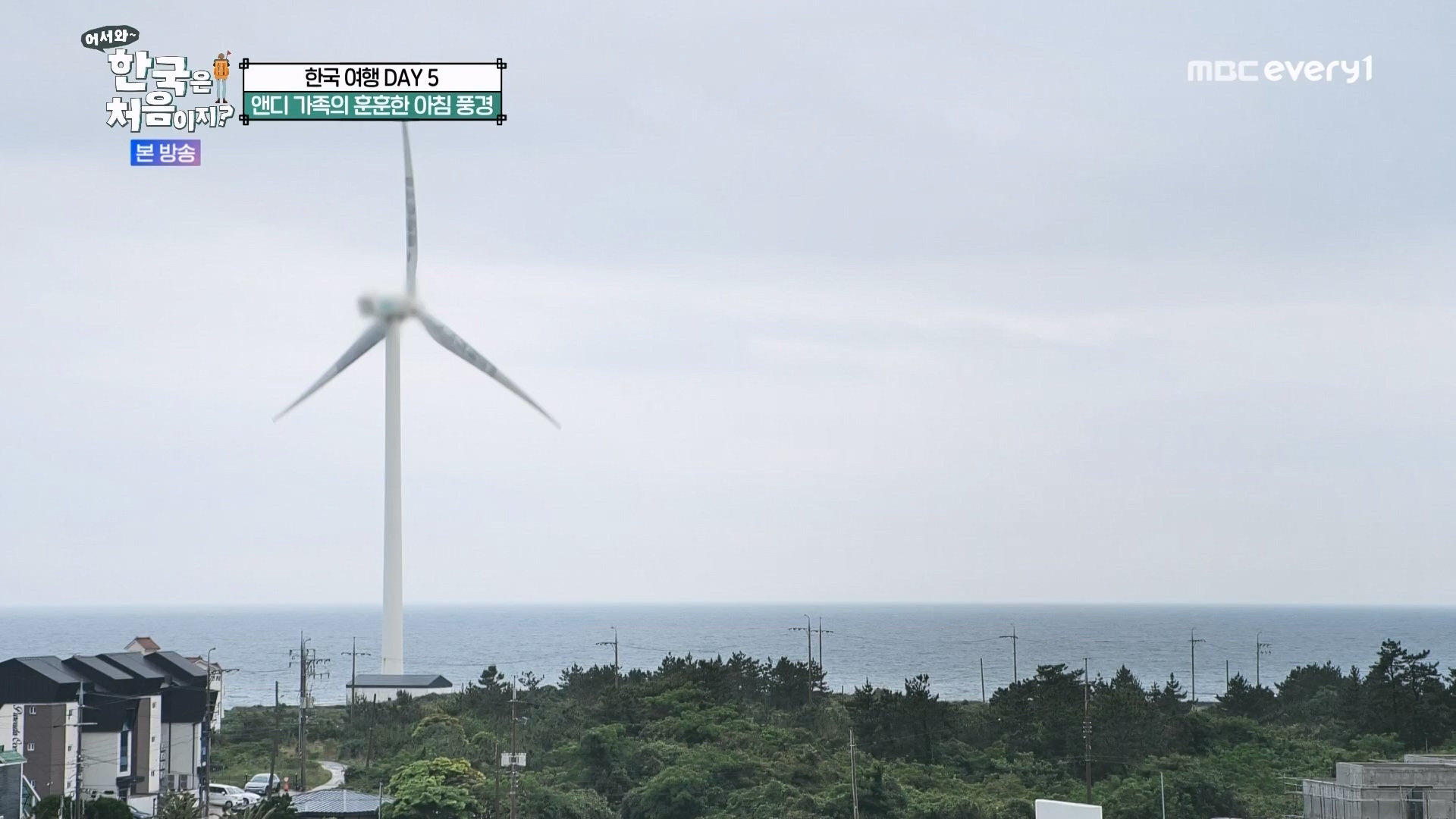 어서와 한국은 처음이지.E272.230720p.WANNA.mp4_20230722_180643.196.jpg