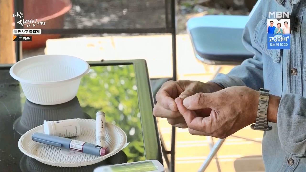 나는 자연인이다.E566.230810p.WANNA.mp4_20230810_202603.513.jpg