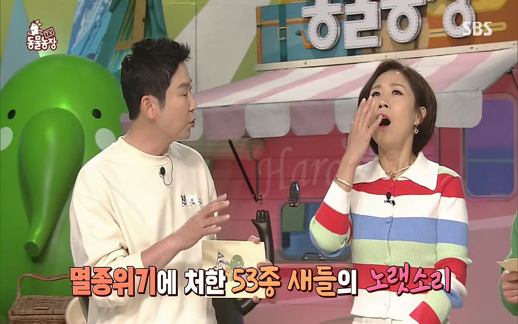 TV 동물농장.E1066.220424p.H264-F1RST.mp4_20220424_194336.622.jpg