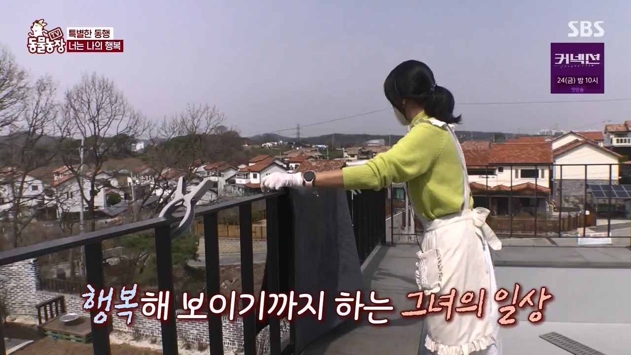 TV 동물농장.E1172.240520p-NEXT.mp4_20240519_165236.691.jpg