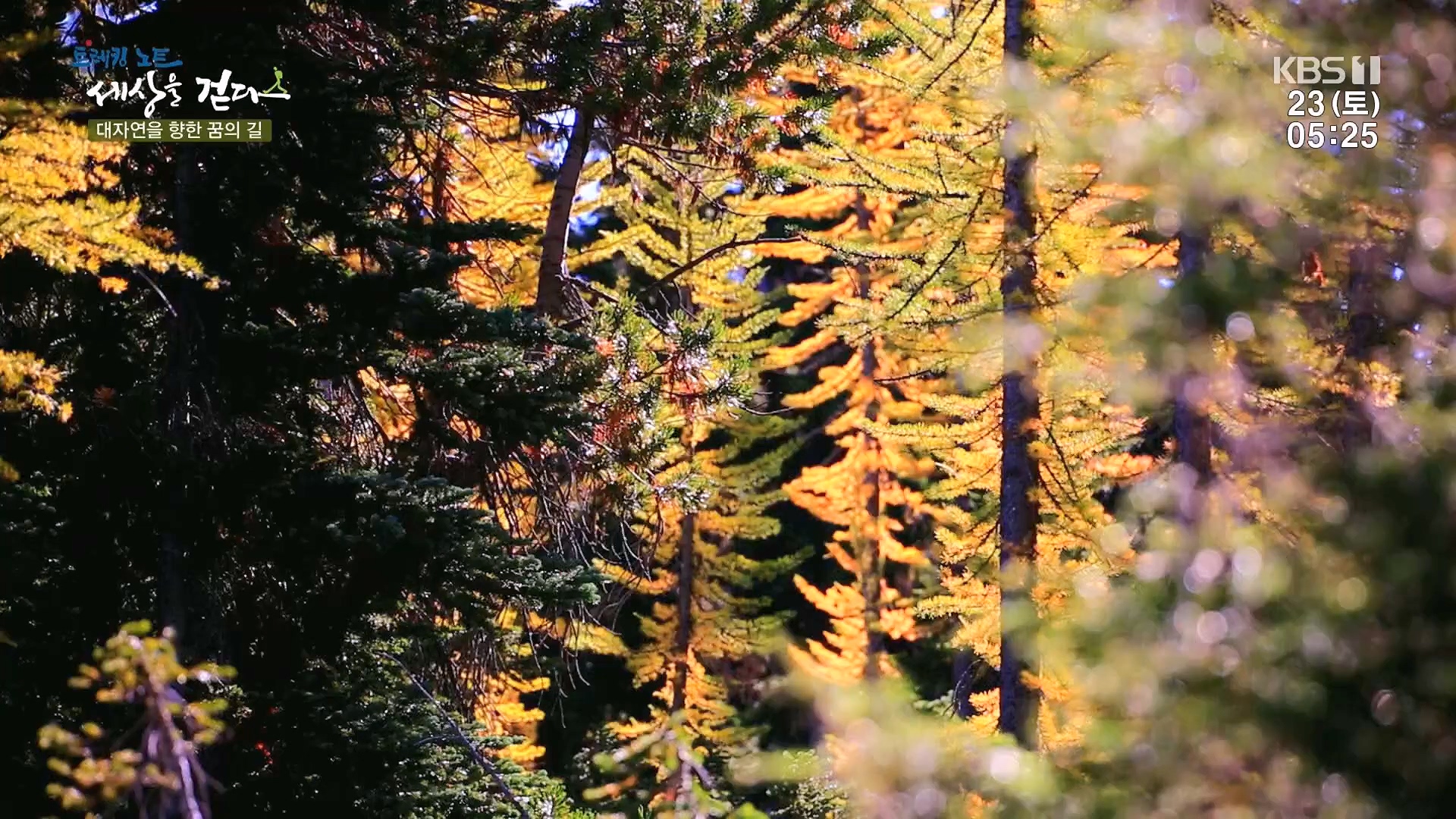 트레킹노트 세상을 걷다.E300.231223p.H264-F1RST.mp4_20240626_204701.946.jpg