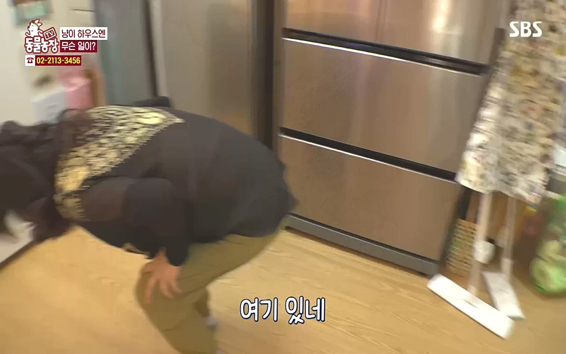 TV 동물농장.E1090.221010p-NEXT.mp4_20221009_182025.829.jpg