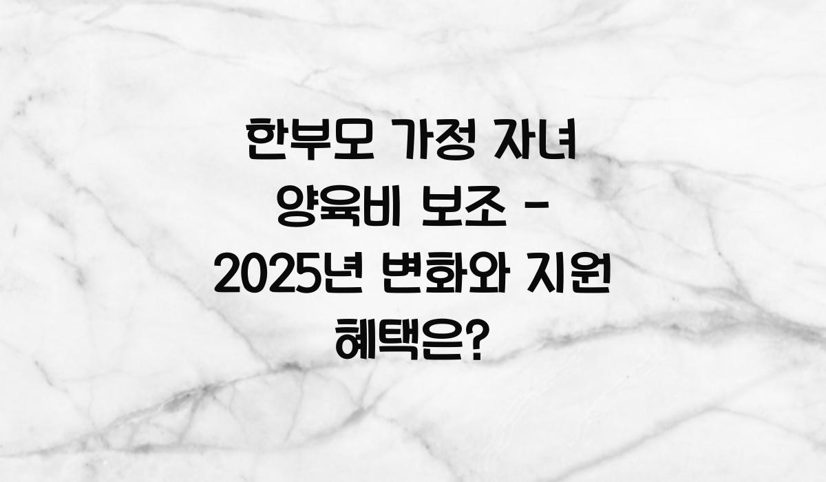 한부모 가정 자녀 양육비 보조
