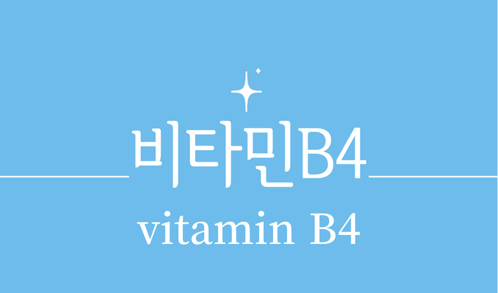 &#39;비타민B4(vitamin B4)&#44;아데닌&#39;