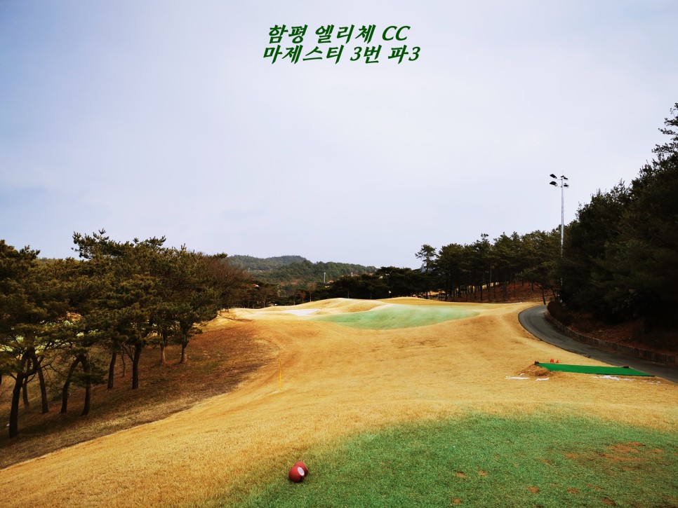 마제스티 1박2일 함평 엘리체CC 63