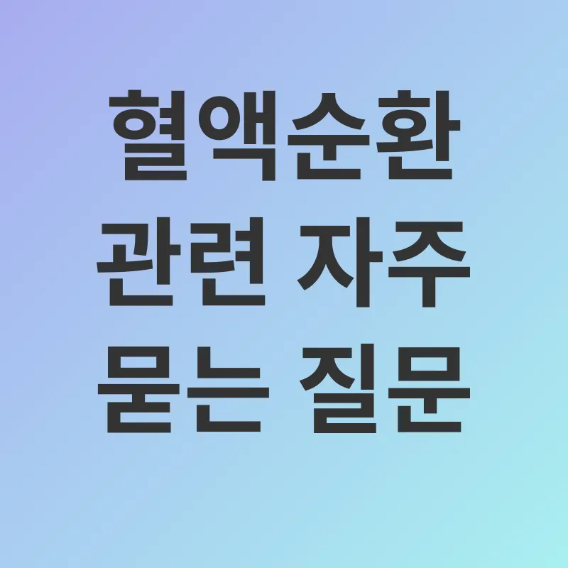 혈액순환 개선_4
