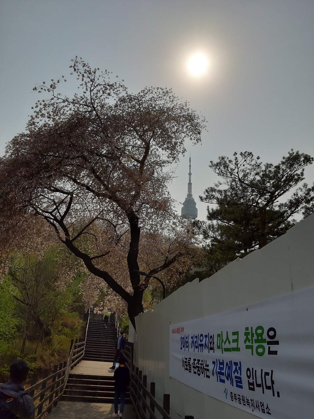 원조닭한마리 이미지