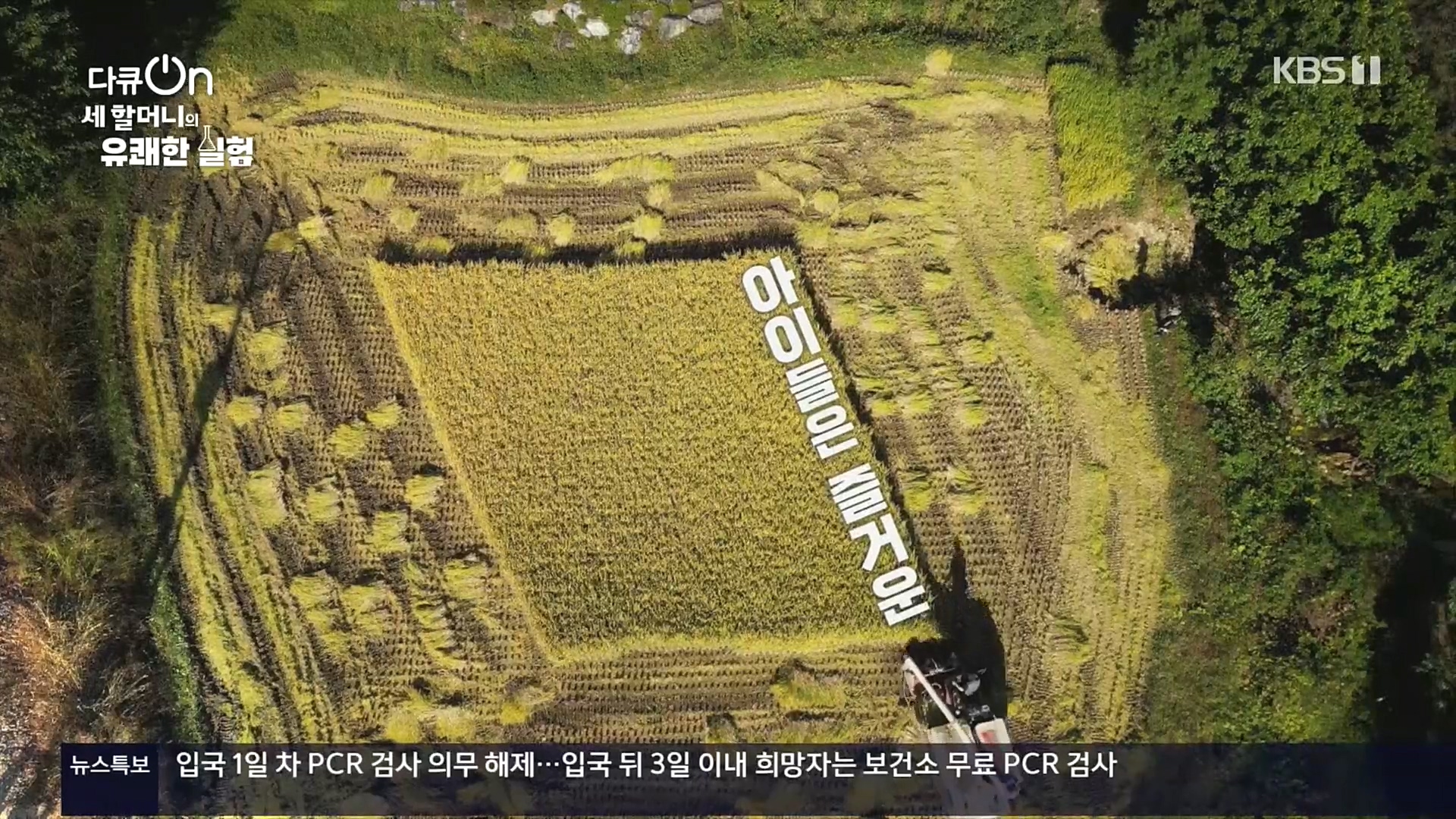 다큐 On.E166.221028p.H264-F1RST.mp4_20221031_194216.375.jpg