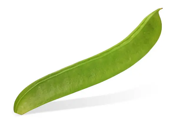 작두콩차 효능과 부작용