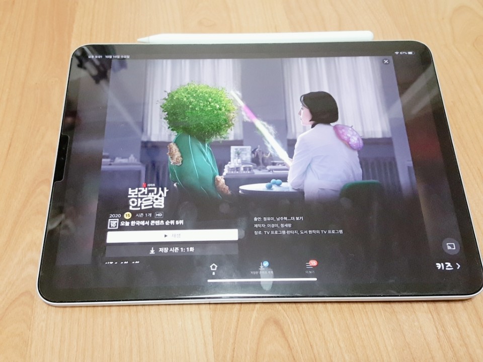  애플 아이패드 프로 3세대 6개월 사용 후기