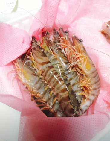 수연횟집 사진 4