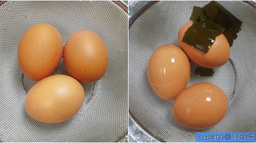 계란-비교