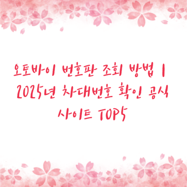오토바이 번호판 조회 방법｜2025년 차대번호 확인 공식 사이트 TOP5