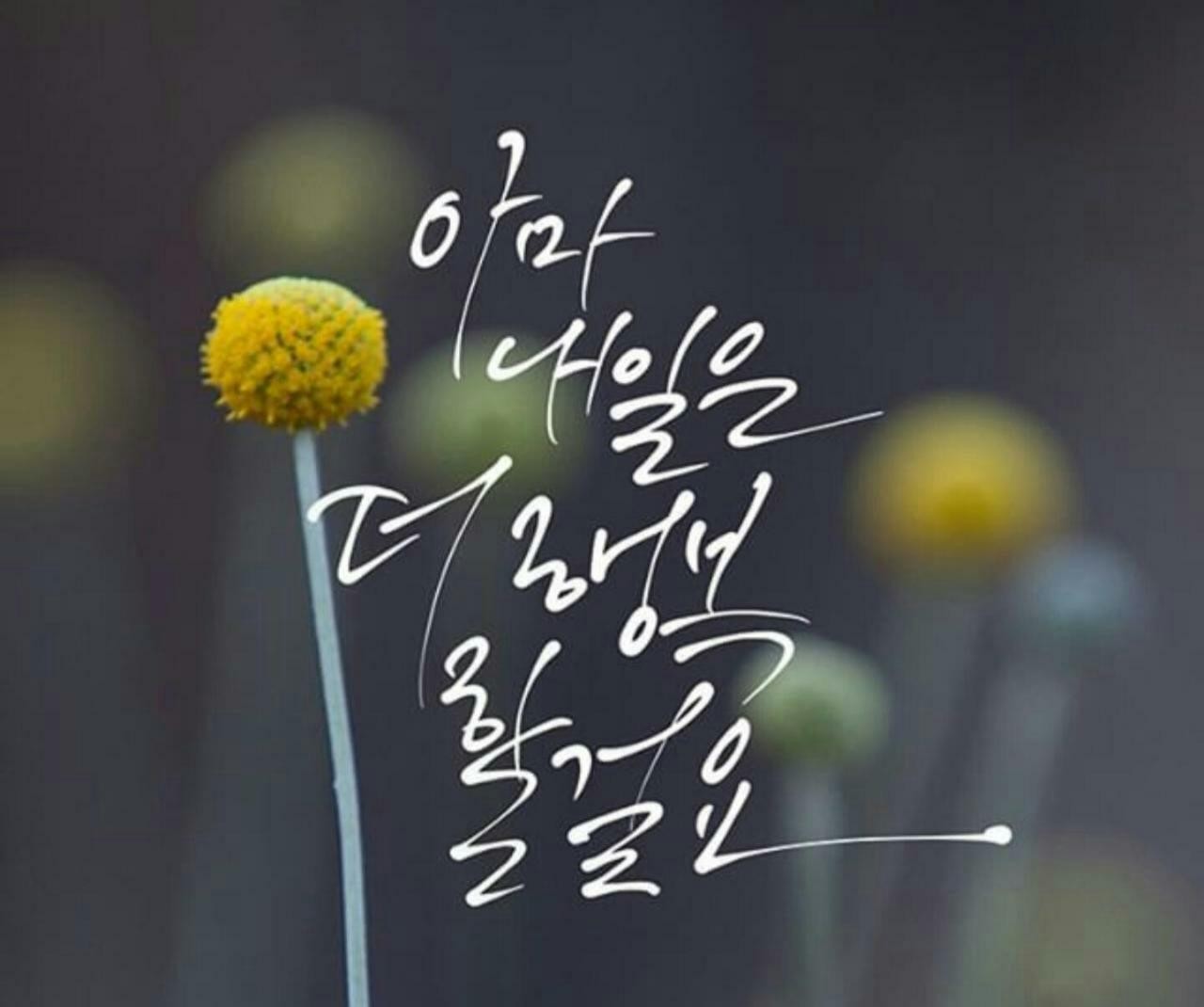 김*엽 이미지