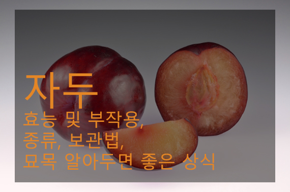 자두 효능 및 부작용, 종류, 보관법, 묘목 알아두면 좋은 상식