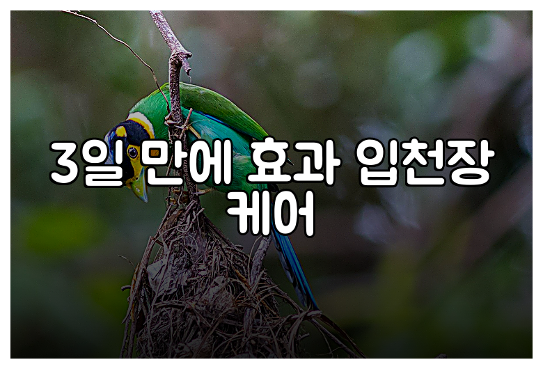 3일 만에 효과 입천장 케어