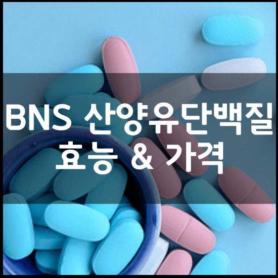 BNS-산양유-단백질-100-분말-효능-가격