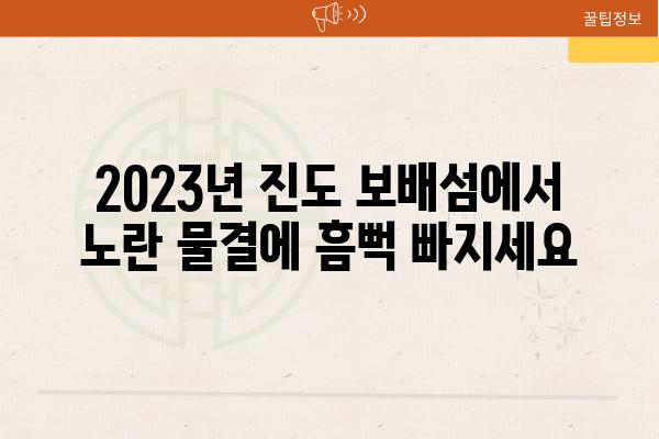 2023년 진도 보배섬에서 노란 물결에 흠뻑 빠지세요