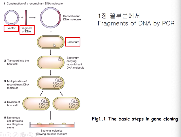 article thumbnail image