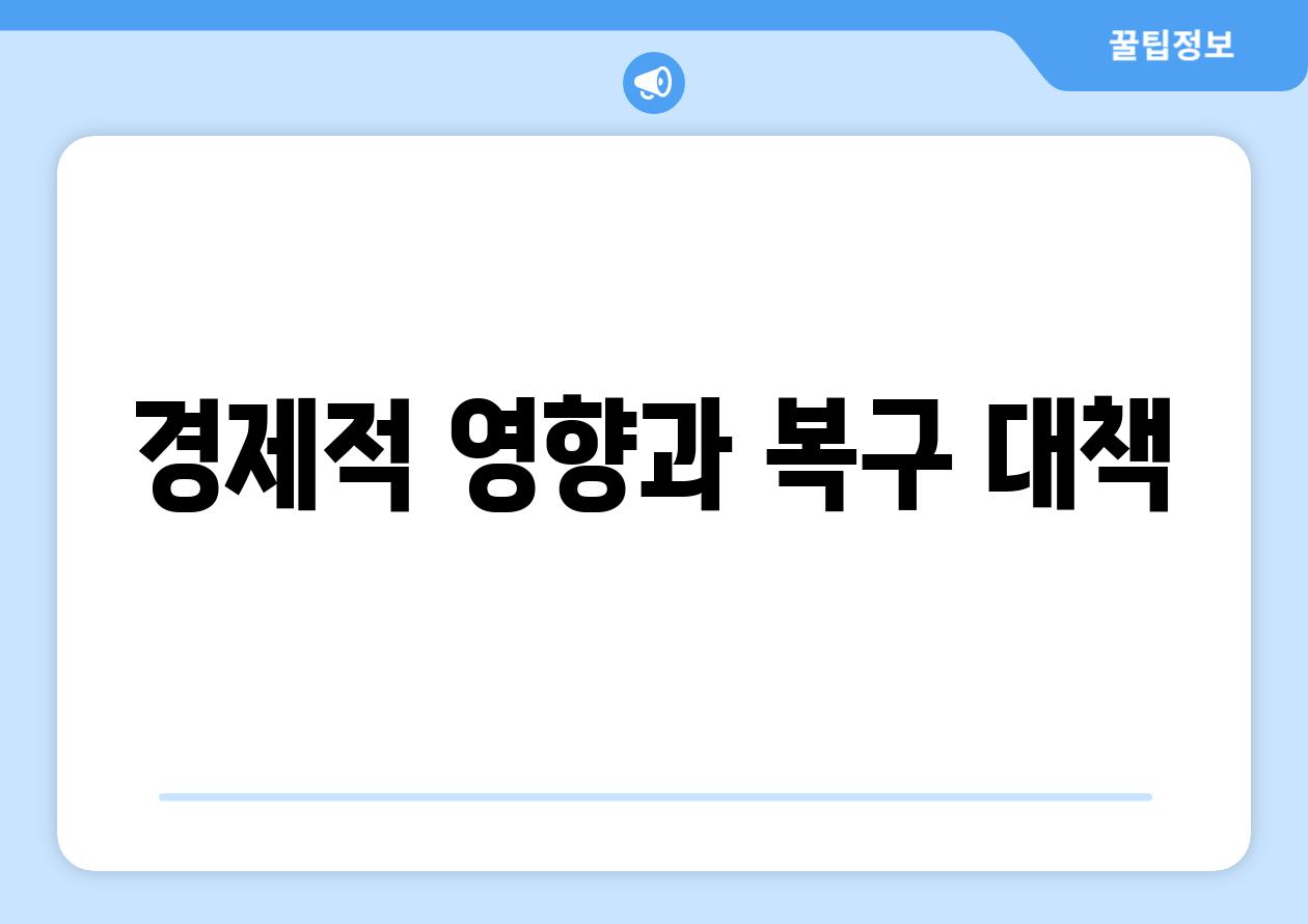 경제적 영향과 복구 대책