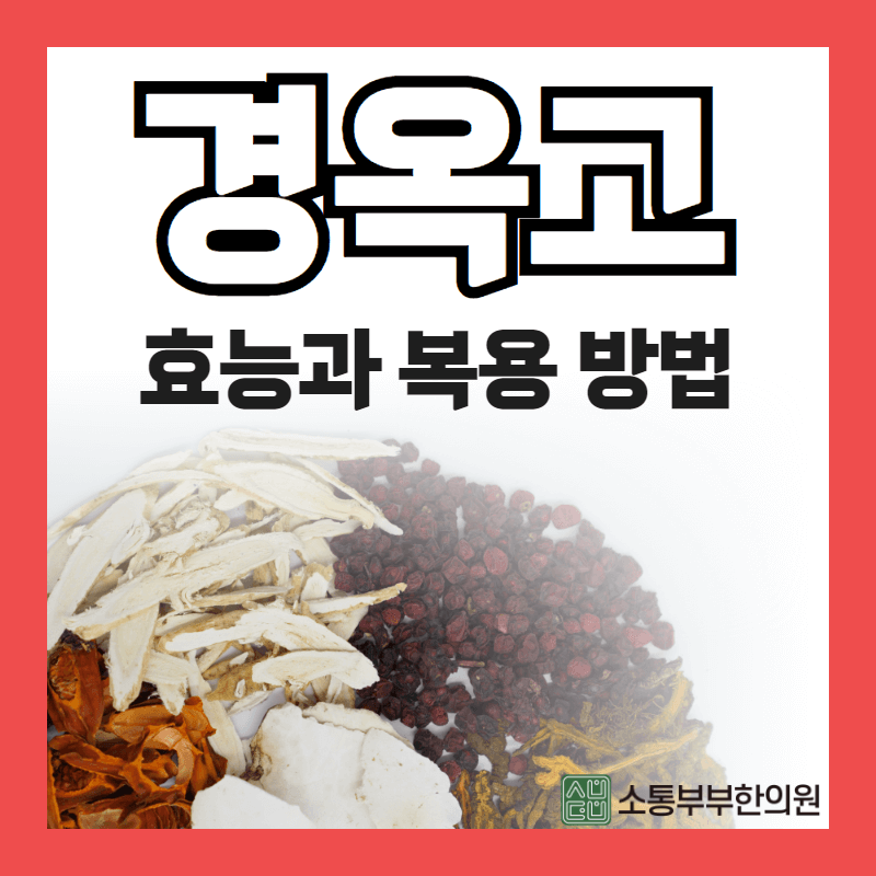 경옥고 효능과 복용 대상 및 복용법