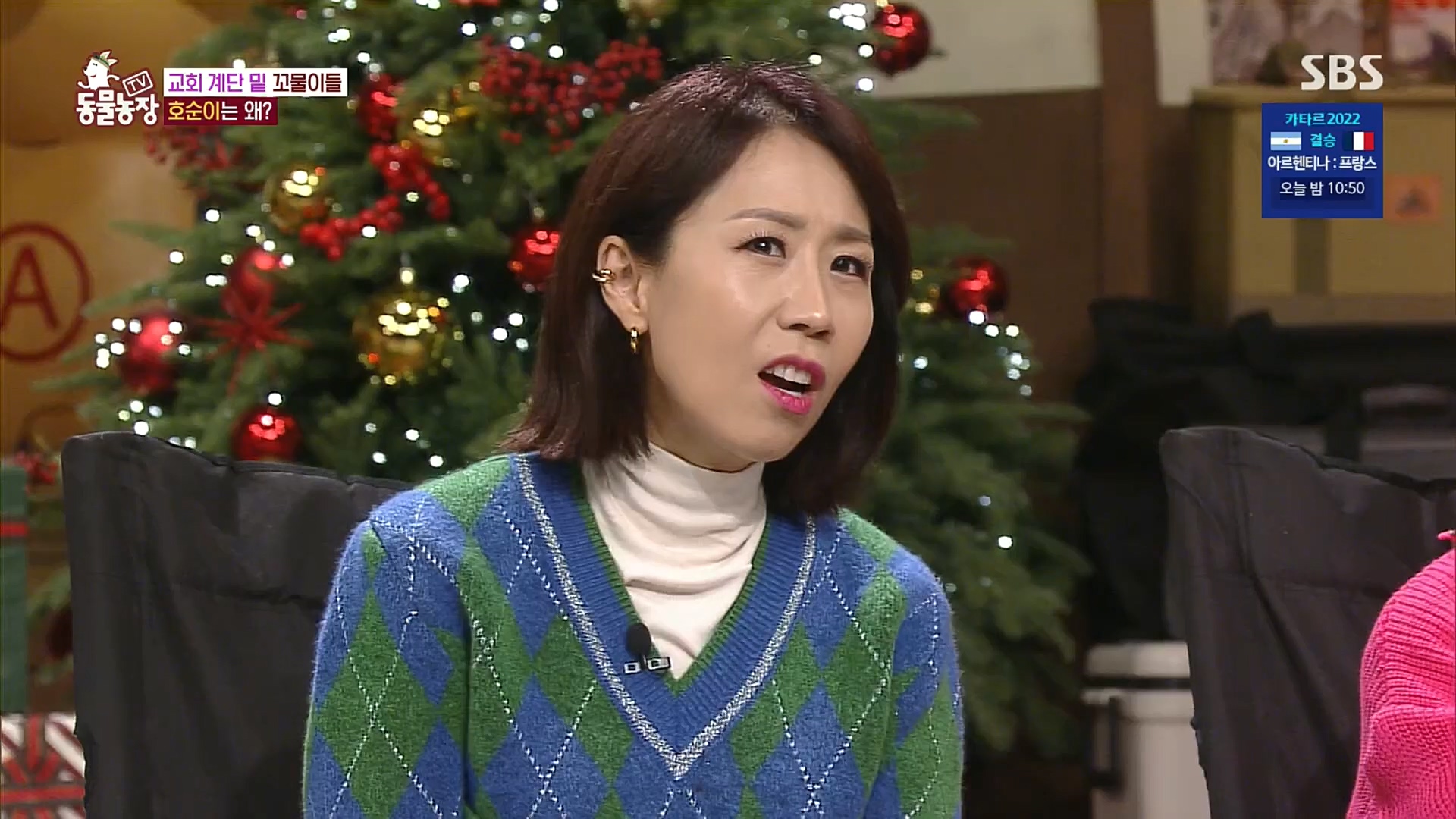 TV 동물농장.E1100.221218p.H264-F1RST.mp4_20221218_183437.521.jpg