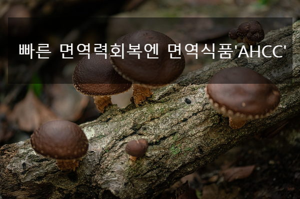 단백질의 중요성과 빠른 면역력 회복 필요! [AHCC 박사] 위암에 좋은 음식, 8