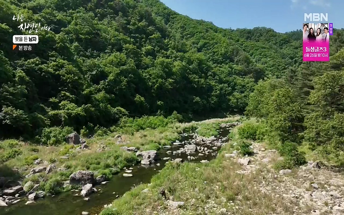 나는 자연인이다.E506.220616p-NEXT.mp4_20220616_200840.667.jpg