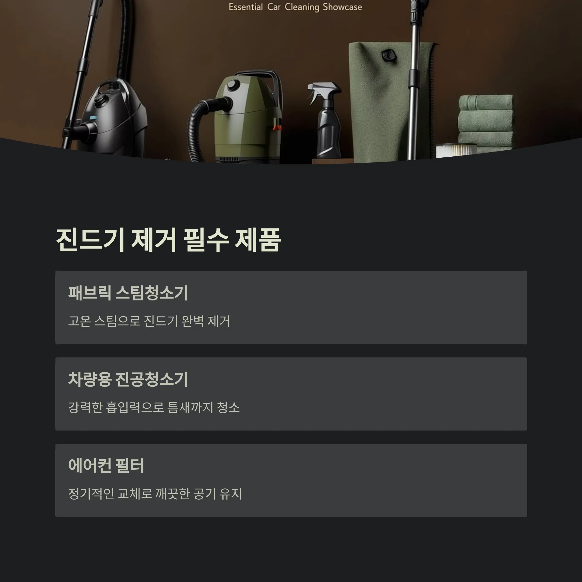 차량 진드기 제거 정보
