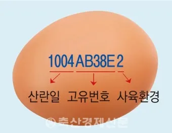 계란에 적힌 번호가 정확히 뭘까 계란 난각번호 4번 제대로 알고 먹고 있나요_24