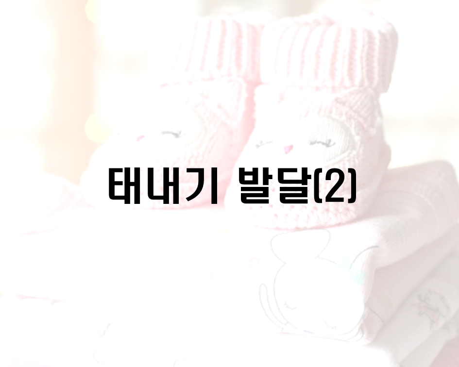  태내기 발달(2)