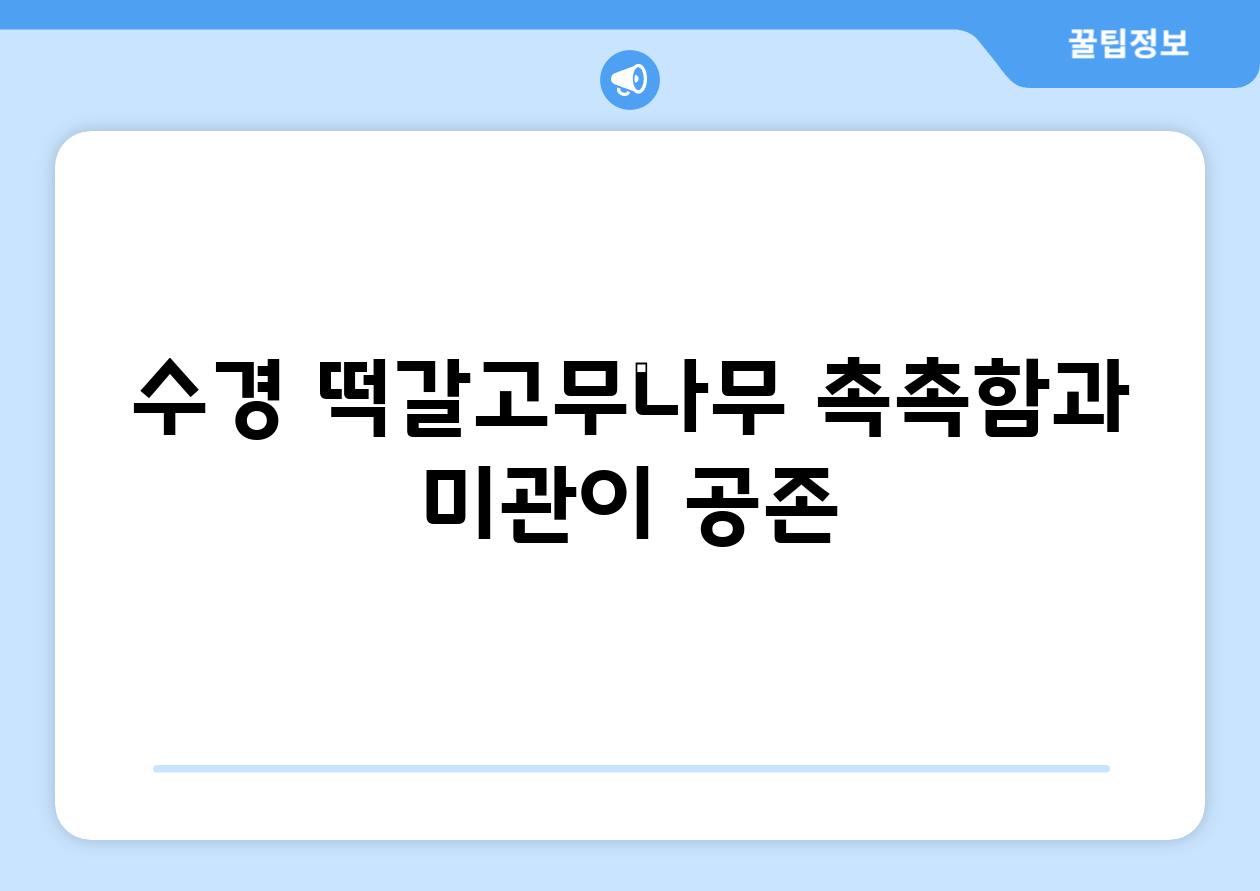 수경 떡갈고무나무| 촉촉함과 미관이 공존