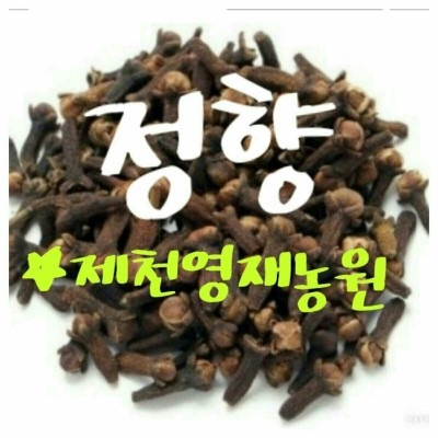 정향 이미지