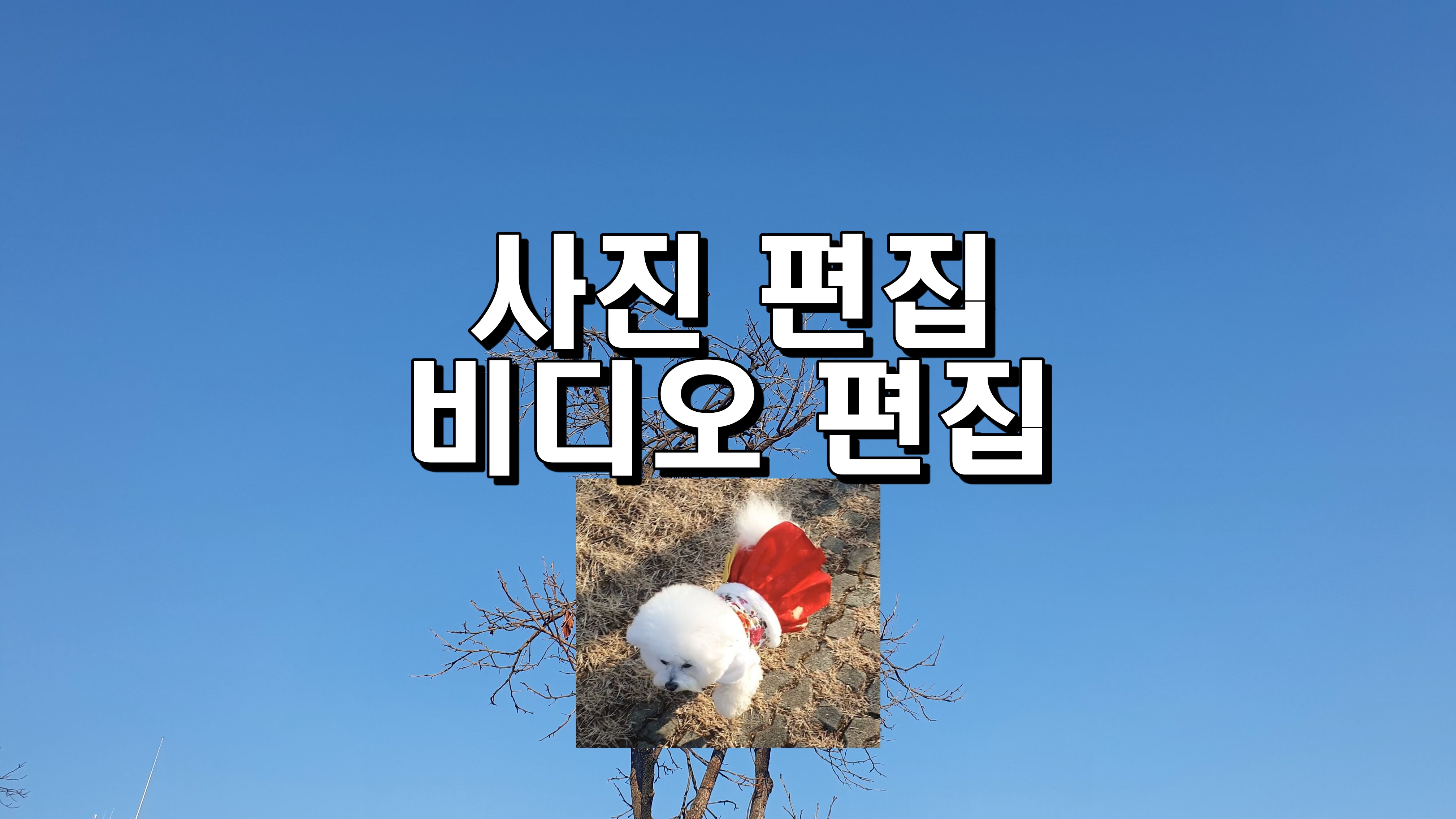  사진, 비디오 편집 - 안드로이드 폰