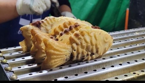 손정희와 붕어빵