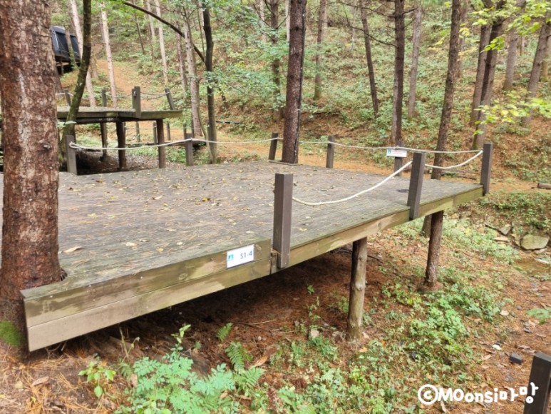 하늘그린캠프, 숲속의 16