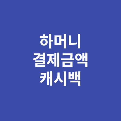 하남시 지역 화폐 하머니 결제금액