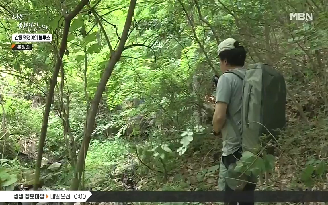 나는 자연인이다.E505.220609p-NEXT.mp4_20220609_200143.057.jpg